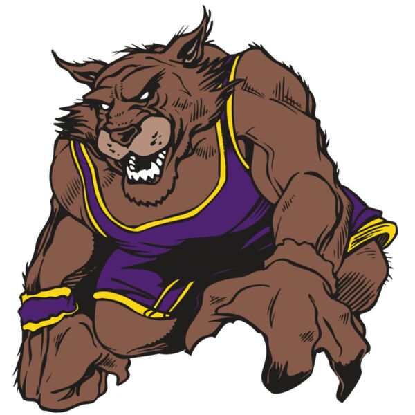 AR WILDCAT 23 RC Thumbnail