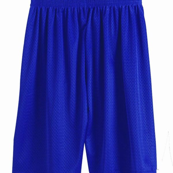 11'' Inseam Pro Mesh Shorts Thumbnail